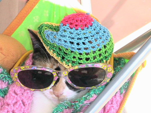 364223 (a): :1280x960